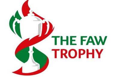 FAW Trophy - Wikipedia