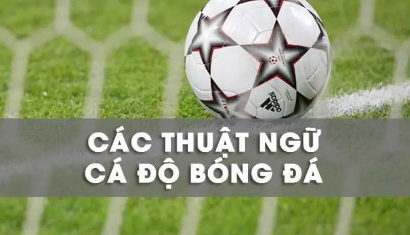 Khám phá các thuật ngữ về cá cược bóng đá mới nhất năm 2024