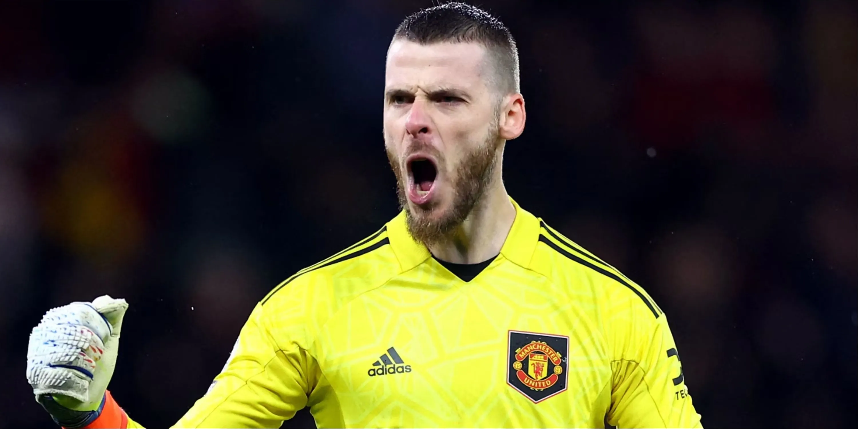 David de Gea trong màu áo Manchester United