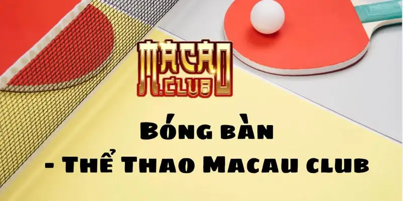 Thể thao Macau Club – Trải nghiệm cá cược đỉnh cao 