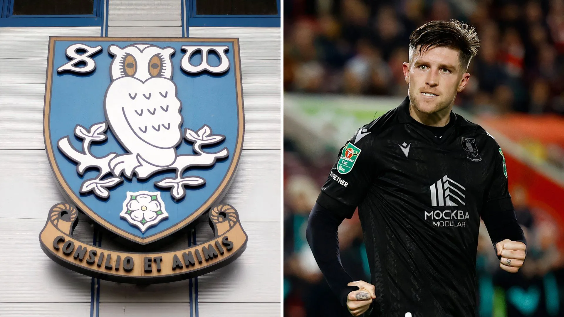 Tiền đạo Josh Windass của Sheffield Wednesday