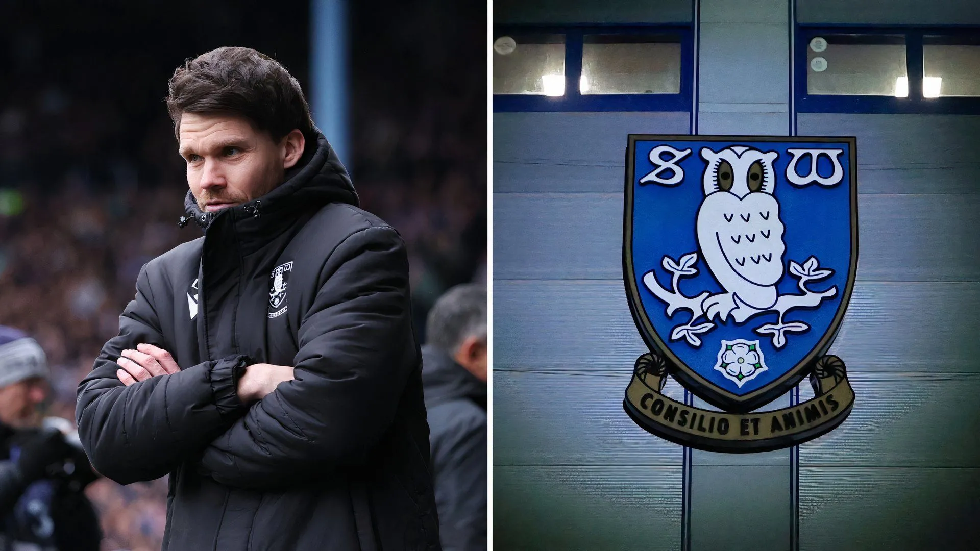 HLV Danny Rohl trả lời phỏng vấn trước phông nền của Sheffield Wednesday