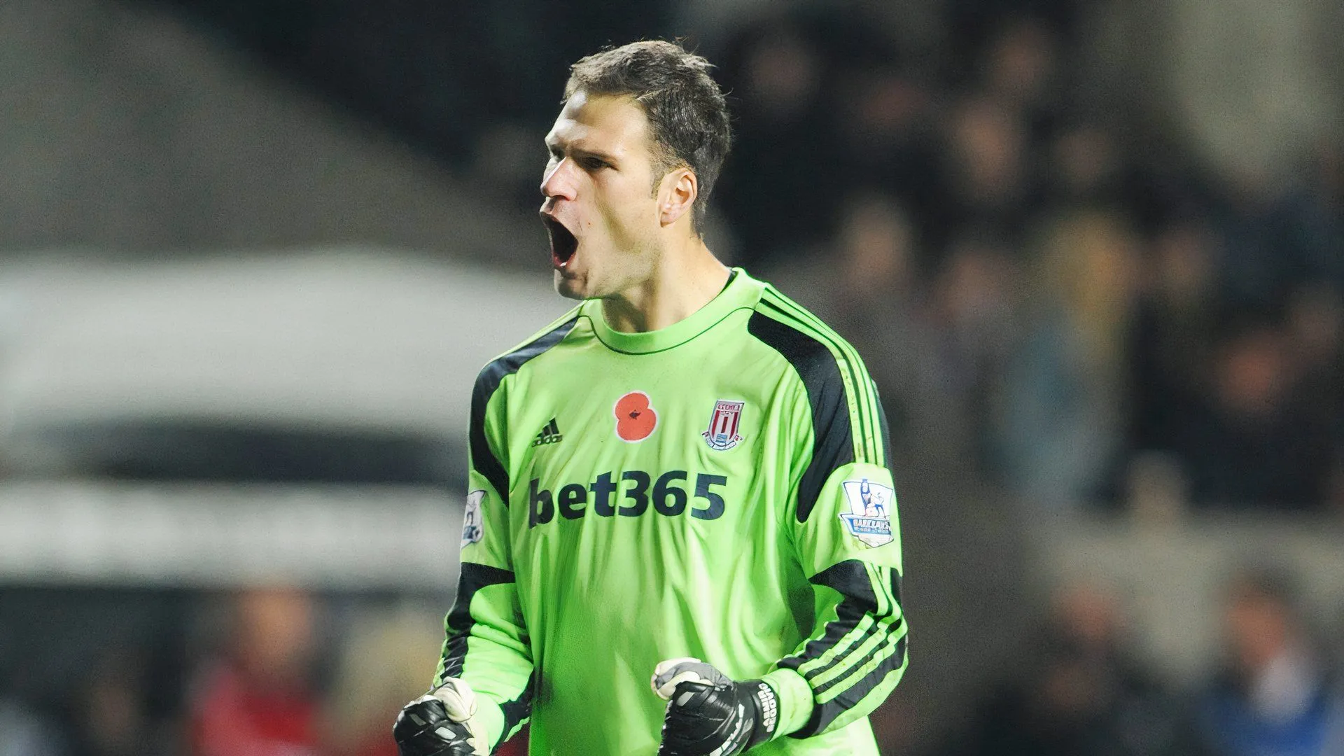 Asmir Begovic trong màu áo Stoke City thời đỉnh cao