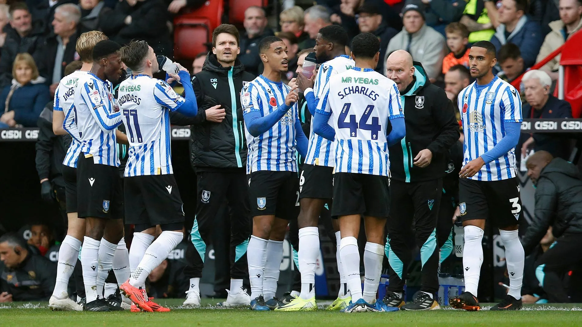 Danny Rohl và các cầu thủ Sheffield Wednesday